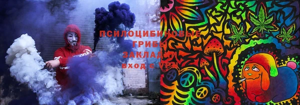 гашик Сафоново