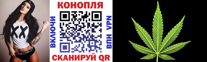 Купить закладки  Санкт-Петербург  Канабис SATIVA & INDICA 